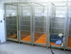 canine kennels