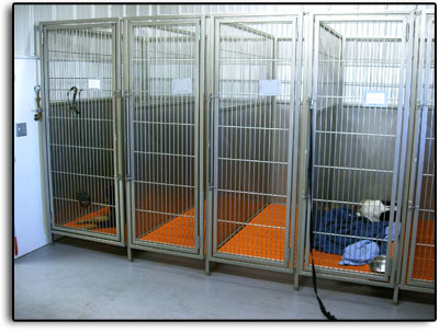 Kennel area at Petcetera Animal Clinic