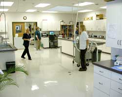treatment area