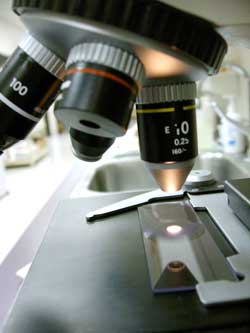 microscope