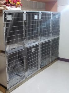 Canine Ward kennel area at Petcetera Animal Clinic