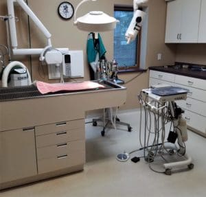 Pet dental exam room at Petcetera Animal Clinic