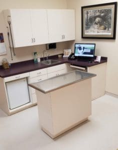 Pet exam room at Petcetera Animal Clinic