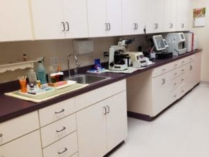 Petcetera Animal Clinic lab