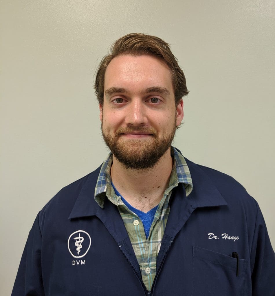 Pet Veterinarian in Grand Forks, ND Petcetera Animal Clinic