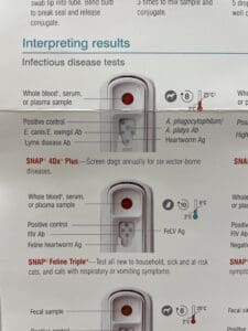 Animal test results