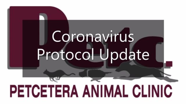 Veterinarian In Grand Forks Nd Petcetera Animal Clinic